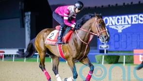 Forever Young primed for Dubai World Cup challenge