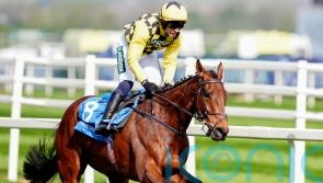 Straightforward for Salvator Mundi at Aintree