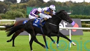 Harrington has &lsquo;vague plan&rsquo; for Guineas contenders