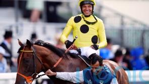 Pitterson picking Rosallion to stamp his class on mile division this year