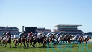 World Horse Welfare &lsquo;deeply saddened&rsquo; by death of Celebre d&rsquo;Allen