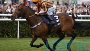 Next stop Sandown for impressive Doncaster winner Dancing Gemini