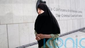 Ex-soldier &lsquo;has clear case&rsquo; to appeal against IS membership conviction &ndash; lawyer