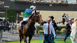 Greenham run likely to define Rashabar&rsquo;s Classic target