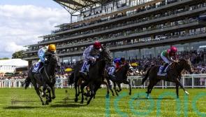 Simmering coming to the boil for Newbury return