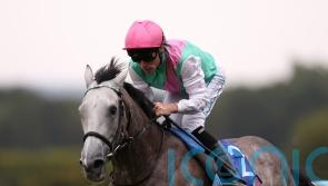 Field Of Gold to spearhead strong Newmarket squad for Gosdens