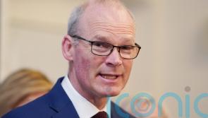 Coveney lands consultant job with EY Ireland