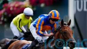 The Lion In Winter set for Dante reappearance