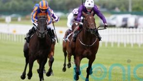 Arizona Blaze fires home in Prix Sigy