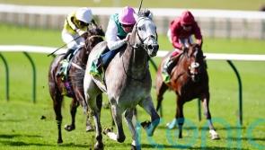 Field Of Gold produces dazzling Craven display