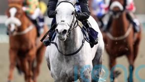 Marathon stop on Melbourne road for Roaring Legend