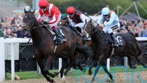 Berkshire Whisper sparks Royal Ascot dreams