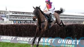 Haiti Couleurs primed for Irish National service