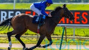 Military Order produces smart Kempton reappearance