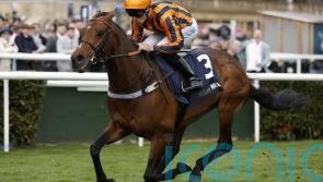 Dancing Gemini follows familiar Mile route at Sandown