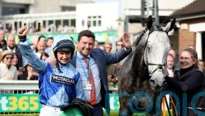 Resplendent Grey seals golden season for Sean Bowen