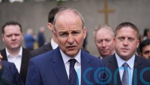 Taoiseach criticises Dublin protesters and &lsquo;narrow nationalism&rsquo;