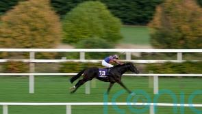 Twain doubtful for 2000 Guineas following unsatisfactory scope