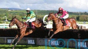 Spillane&rsquo;s Tower out to enhance impressive Punchestown record