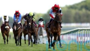 Divine Comedy could scupper Sagaro hat-trick for Coltrane