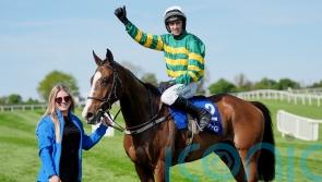 Kopek Des Bordes suffers shock Punchestown defeat