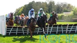 Ascending Lark swoops for Punchestown prize