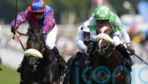 Big Mojo back with a bang at Ascot