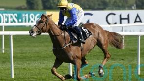 Bambino Fever further enhances outstanding bumper record