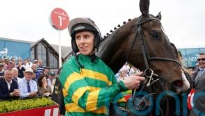 Majborough makes amends with ease at Punchestown