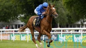 Desert Flower heads 10 hopefuls for 1000 Guineas