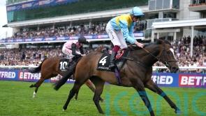 Rumstar in Royal Ascot picture with Palace House win