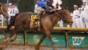 Sovereignty steals the show in Kentucky Derby