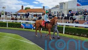 Sand Gazelle takes Eyecatcher accolade at Newmarket