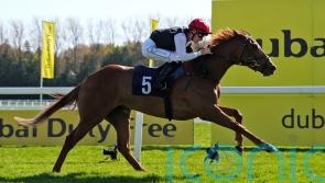 Oppenheimer hopes he has the Queen for Cheshire Oaks crown