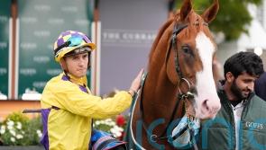 Scorthy Champ has Curragh plan after Newmarket disappointment