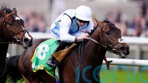 High Stock bidding to pose Derby dilemma in Dee Stakes