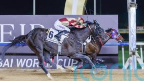 Heart Of Honor primed for crack at Preakness glory