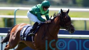 Giselle far too good for Lingfield Oaks Trial rivals