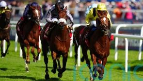 Nakheel captains strong York team for in-form Burrows