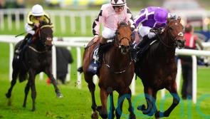 ParisLongchamp absentee Hotazhell rerouted to Irish 2,000 Guineas