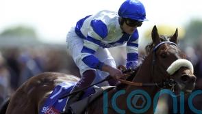 Almosh&rsquo;her sets up Ebor bid with winning debut for Burke