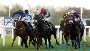 Kind Of Blue bypasses Greenlands run due to minor issue