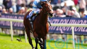 Pride Of Arras stuns Dante field with 18-1 success