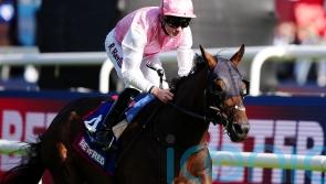 Gosden anticipating tough test on Sweet William return