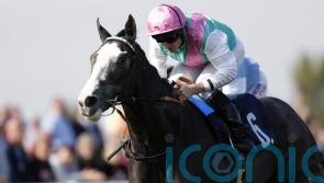 Keep the faith with York Eyecatcher Nightwalker