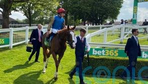 Damysus on course for Epsom following Dante effort