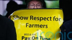 Farming groups hold protest over Cap proposals in Dublin