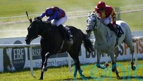 Top-class Tattersalls Gold Cup in prospect at the Curragh