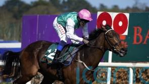 Weld eager for rain ahead of Swelter&rsquo;s Guineas date