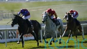 Keane backing White Birch for Tattersalls Gold Cup defence